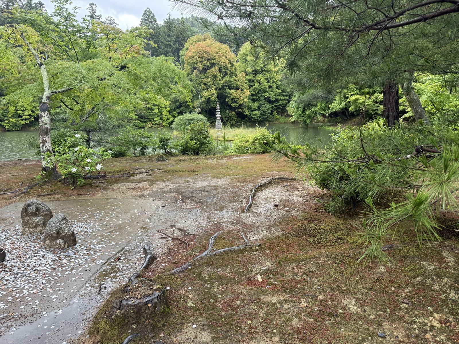 The garden and pond of Kinkaku-ji, with a small stone pagoda set in the water — our own photo