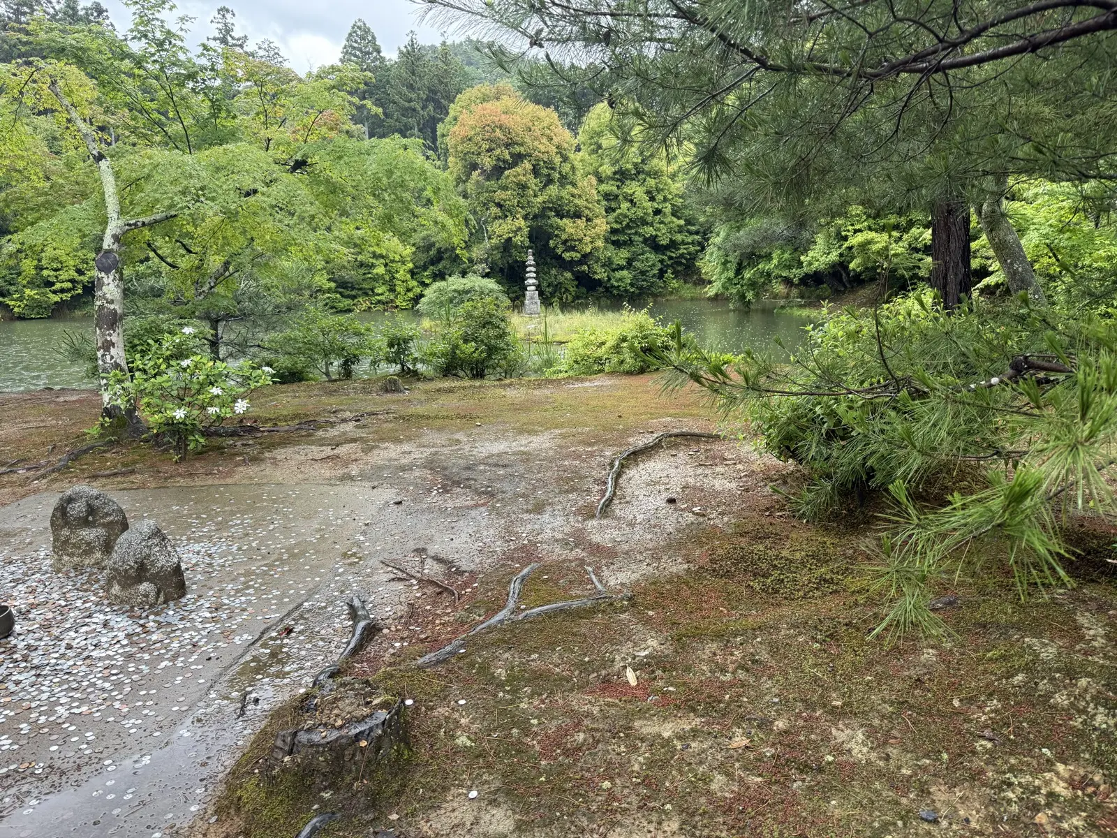 The garden and pond of Kinkaku-ji, with a small stone pagoda set in the water — our own photo
