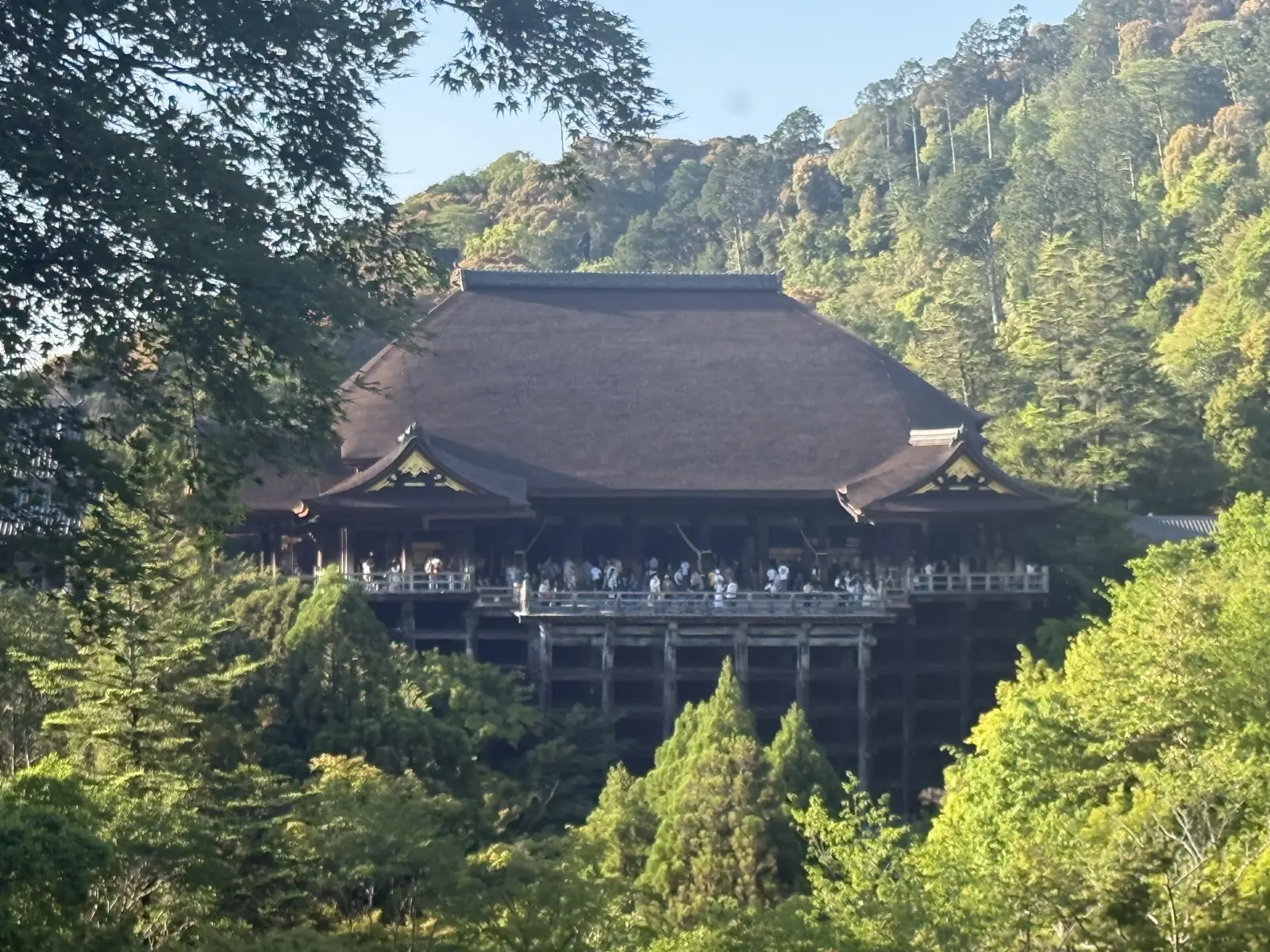 The famous wooden stage of Kiyomizu-dera jutting out over the forested hillside, seen from across the valley — our own photo