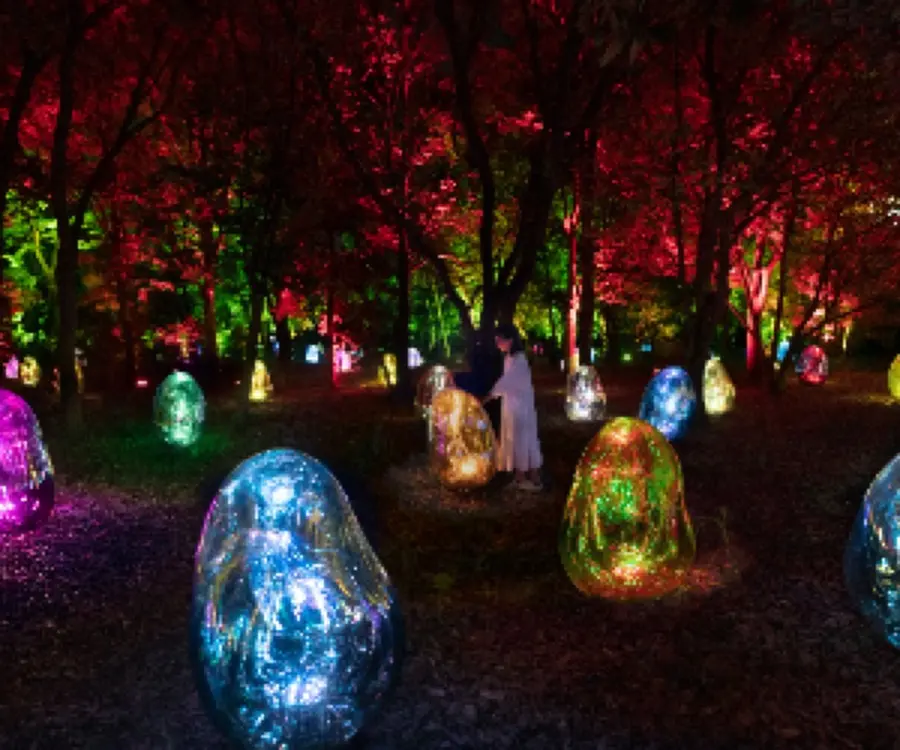 Glowing egg-shaped sculptures among trees at teamLab Botanical Garden Osaka at night