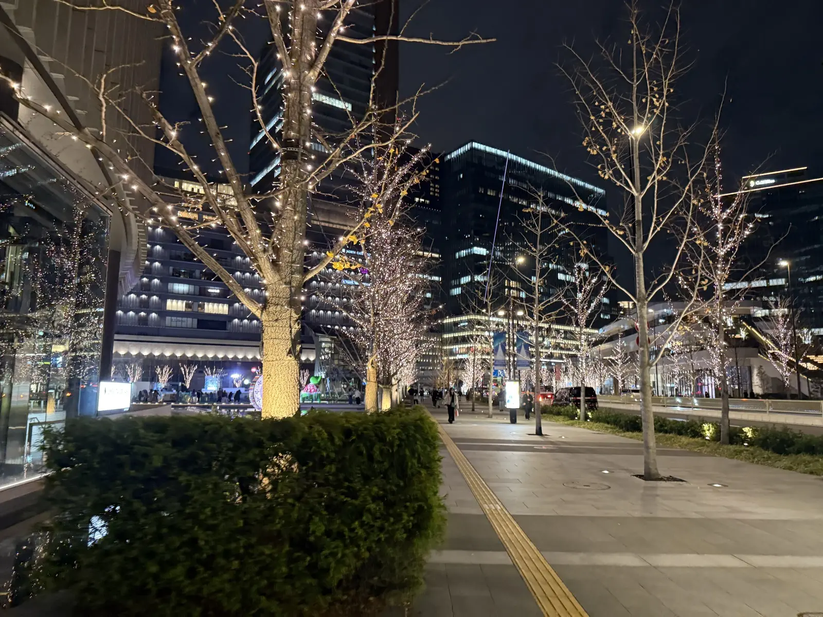 A tree-lined promenade near Osaka Station lit with white winter fairy lights at night, skyscrapers glowing behind