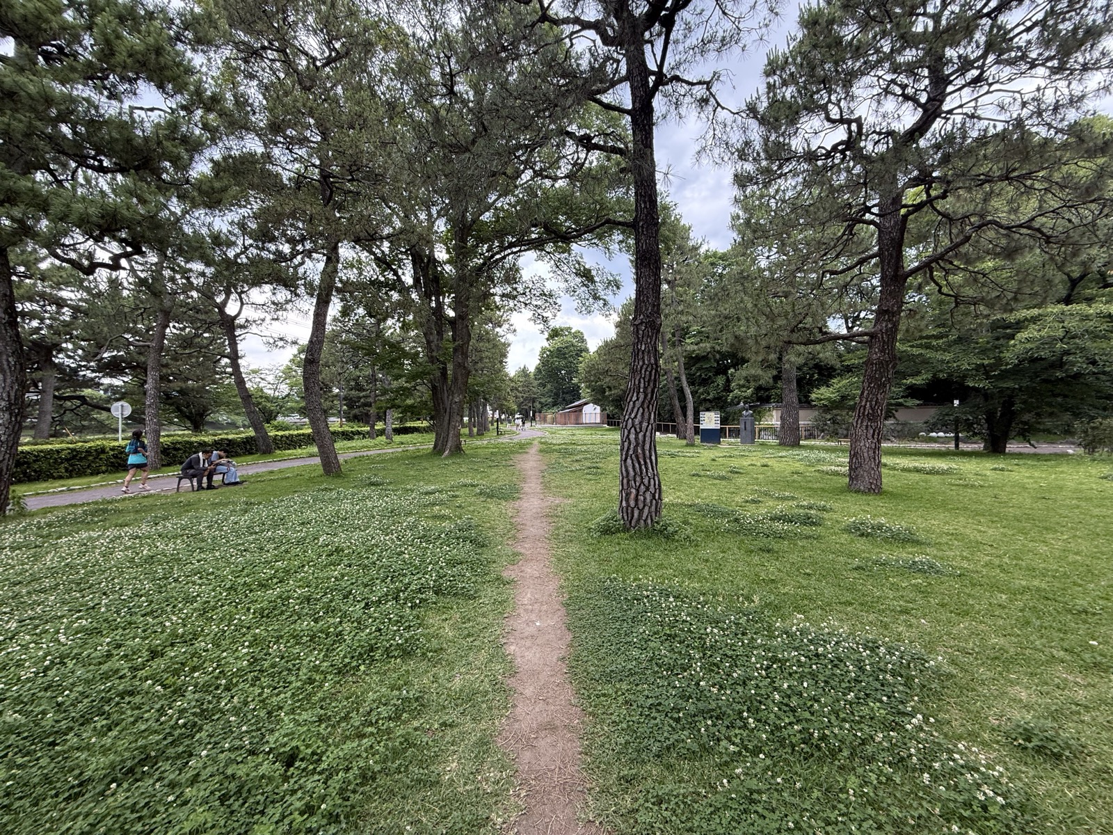 A path through Tadasu-no-Mori, the ancient forest around Shimogamo Shrine — our own photo