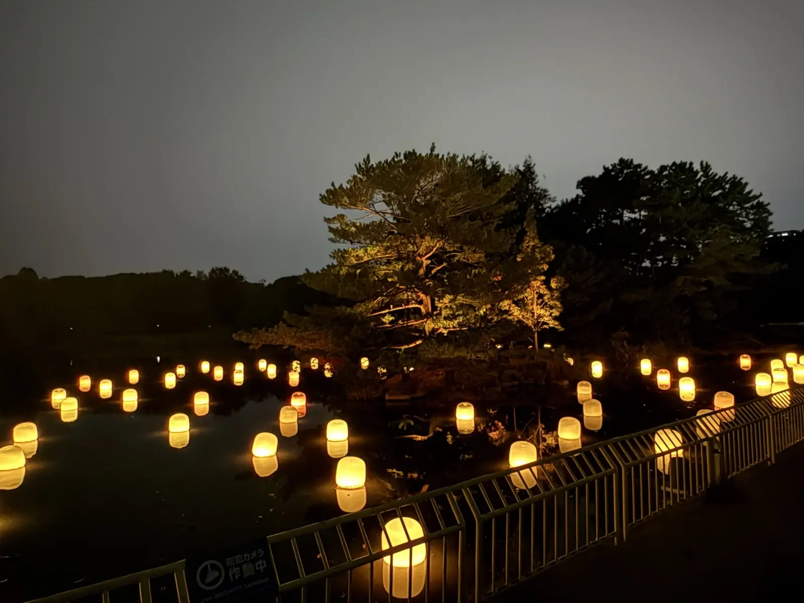 Glowing floating lanterns at teamLab Botanical Garden Osaka