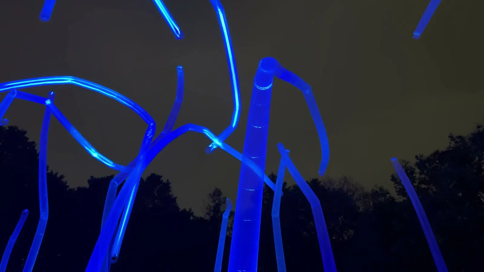 Tall translucent reed-like light sculptures glowing electric blue against the night sky