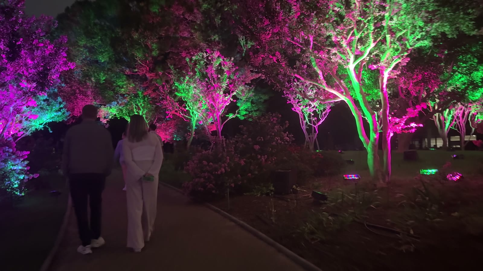 A garden path lined with trees lit in vivid pink and green at teamLab Botanical Garden Osaka