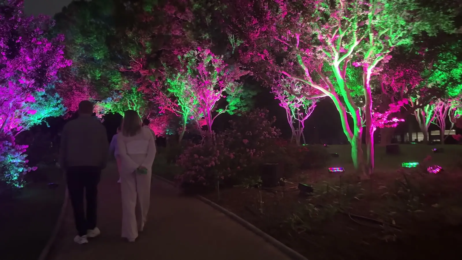A garden path lined with trees lit in vivid pink and green at teamLab Botanical Garden Osaka