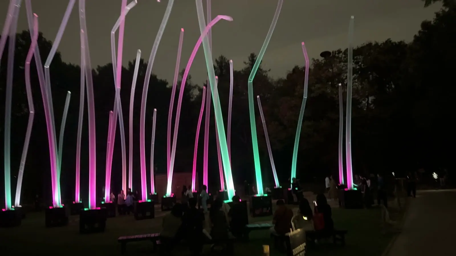 A field of glowing pink and green reed sculptures with visitors watching in silhouette at night