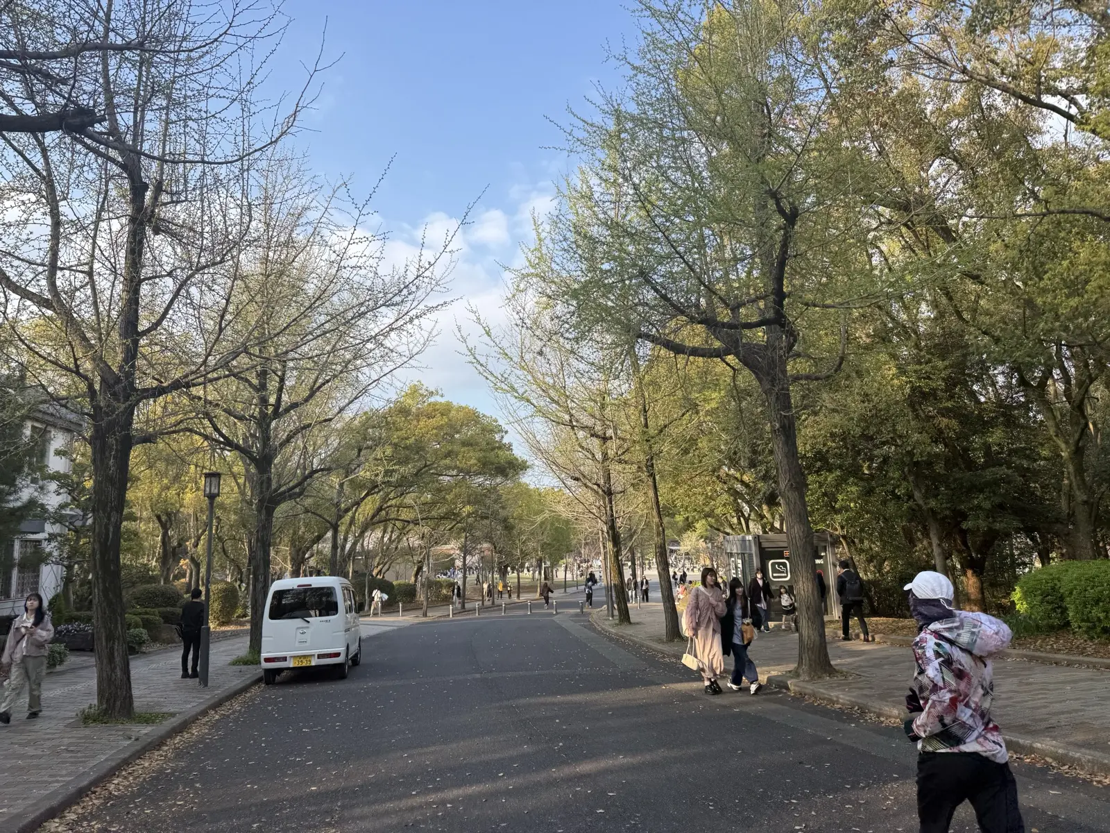Golden ginkgo avenue in Osaka Castle Park
